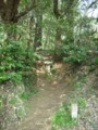 20100517125750