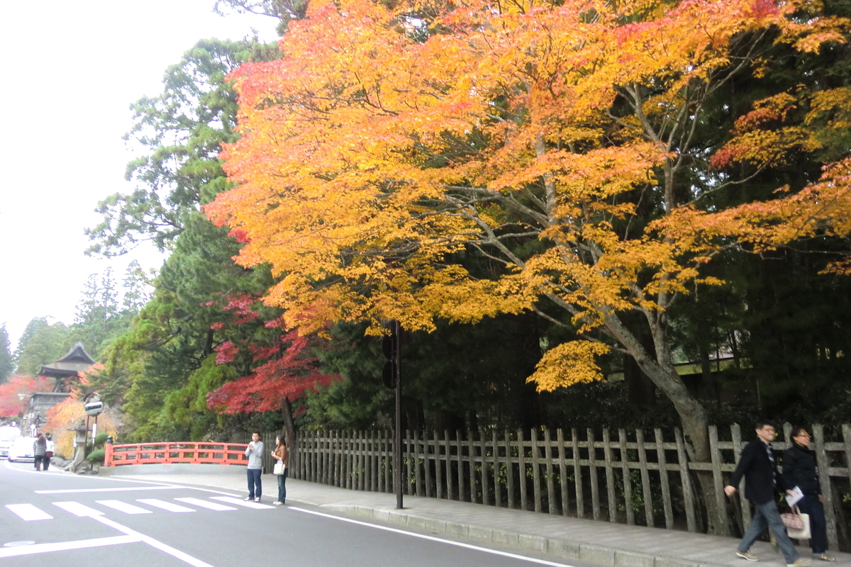 f:id:business-doctor-28:20201212083510j:plain