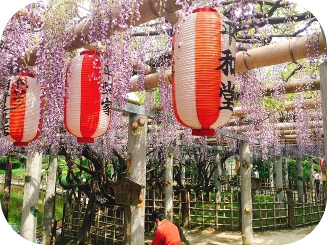 急ぐべし! 久伊豆神社