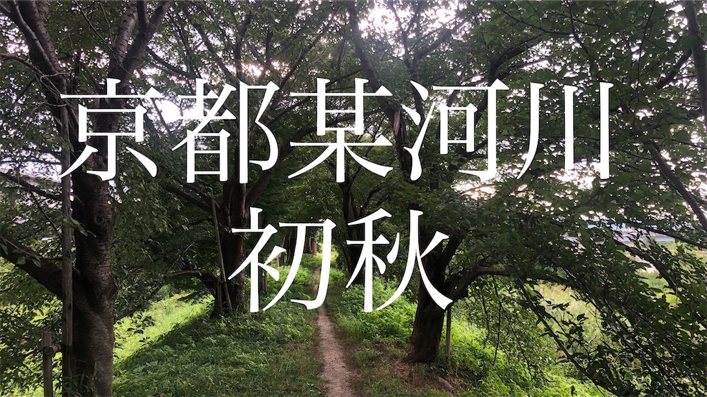 f:id:businesspersonbassfishing:20210929221540j:image