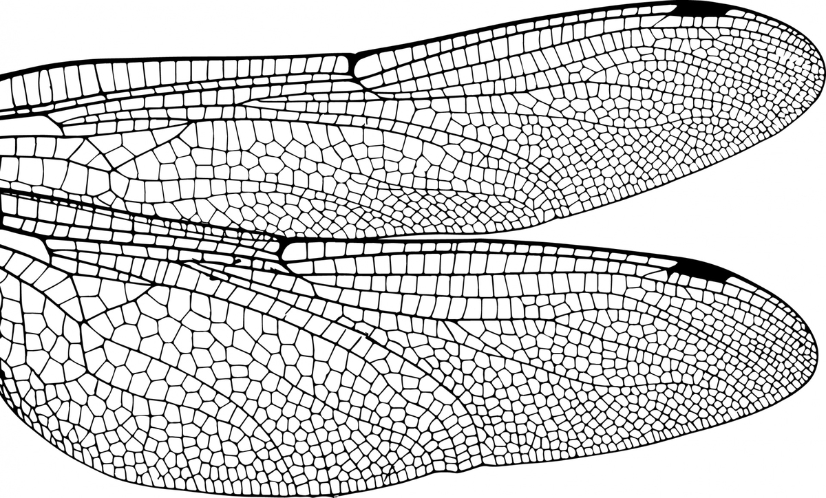 f:id:busongames:20190807222539j:plain f:id:busongames:20190807222539j:plain