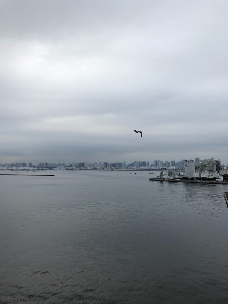 f:id:bussitsu:20180821200037j:image