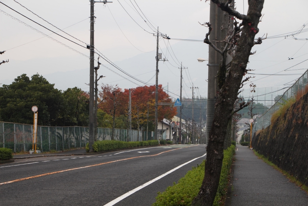 f:id:busstop_blog:20180113202005j:plain