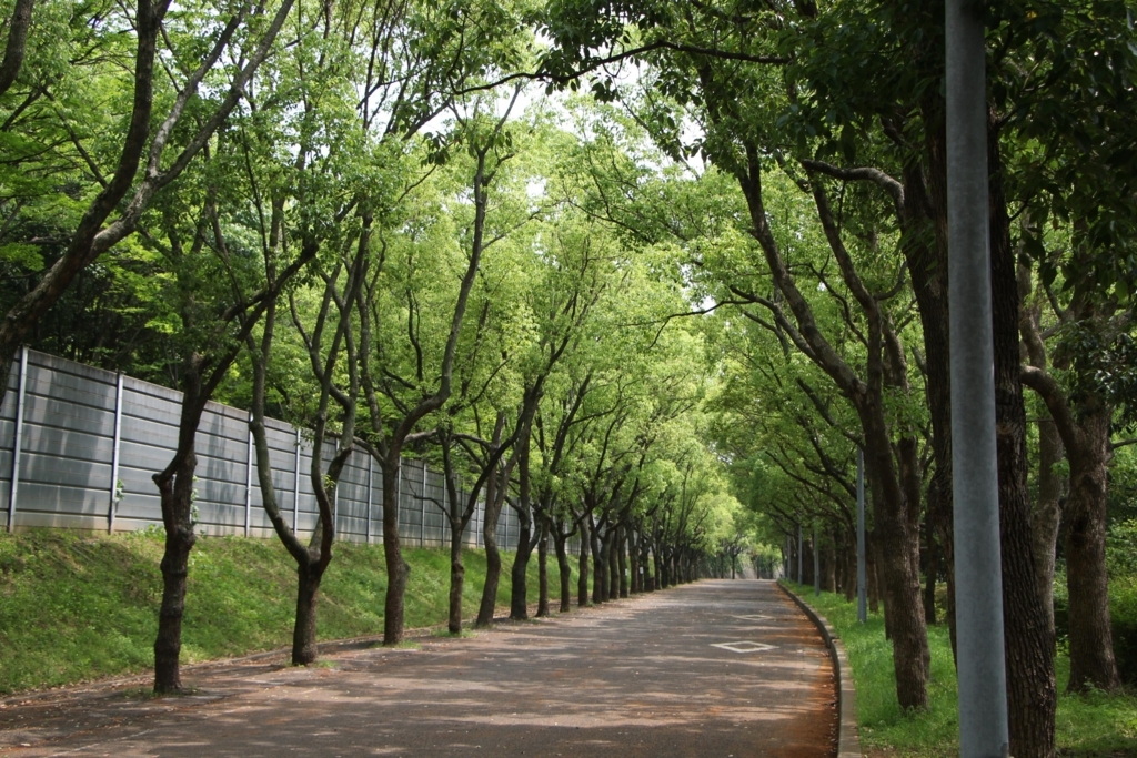 f:id:busstop_blog:20180612113227j:plain