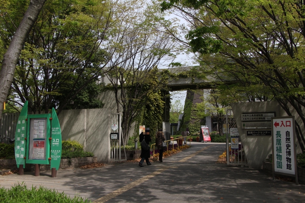 f:id:busstop_blog:20180613141038j:plain