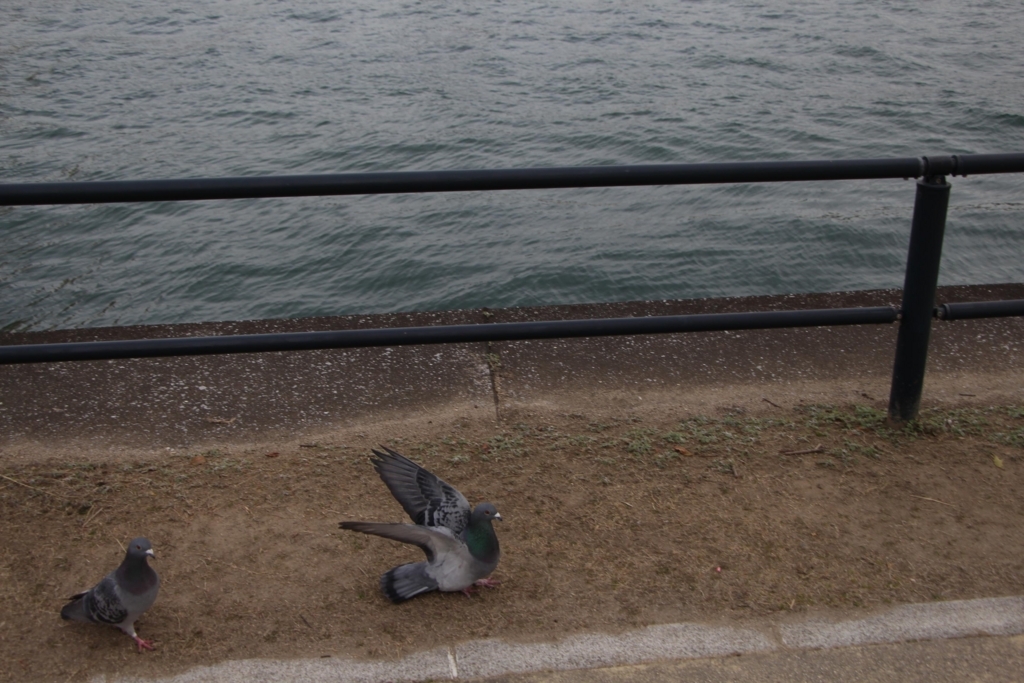f:id:busstop_blog:20180614123537j:plain