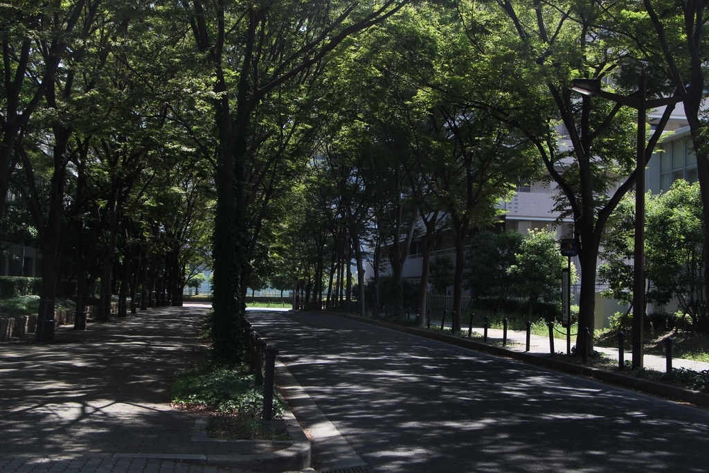 f:id:busstop_blog:20180913152510j:plain