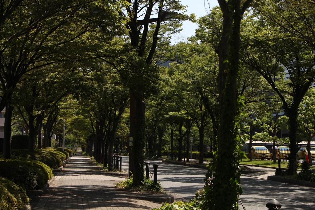 f:id:busstop_blog:20180918112855j:plain f:id:busstop_blog:20180918112855j:plain