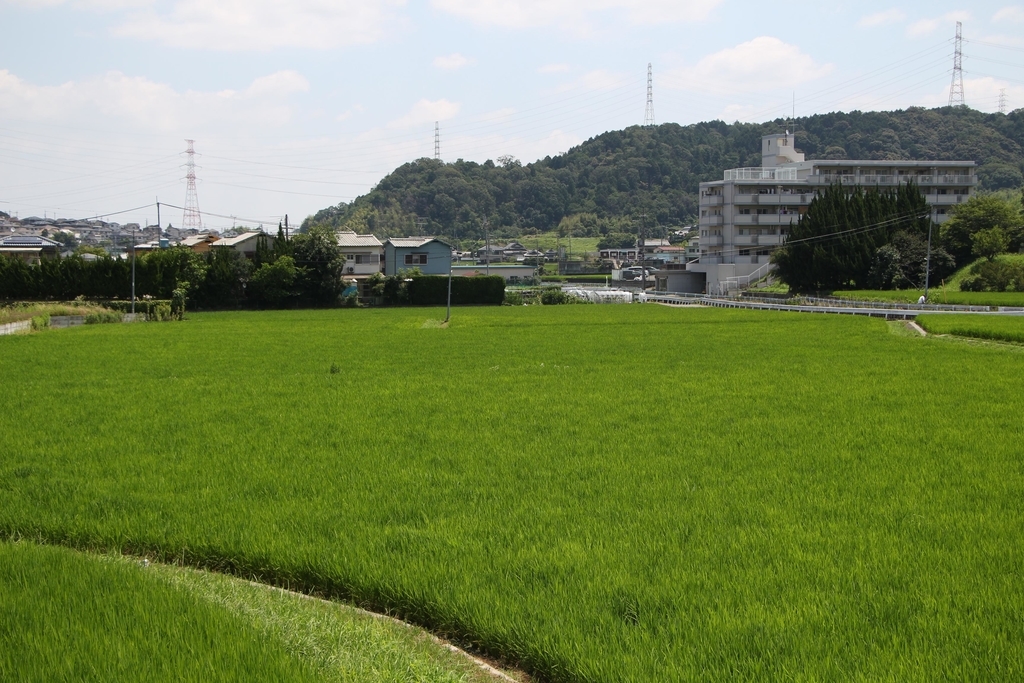 f:id:busstop_blog:20180918212817j:plain