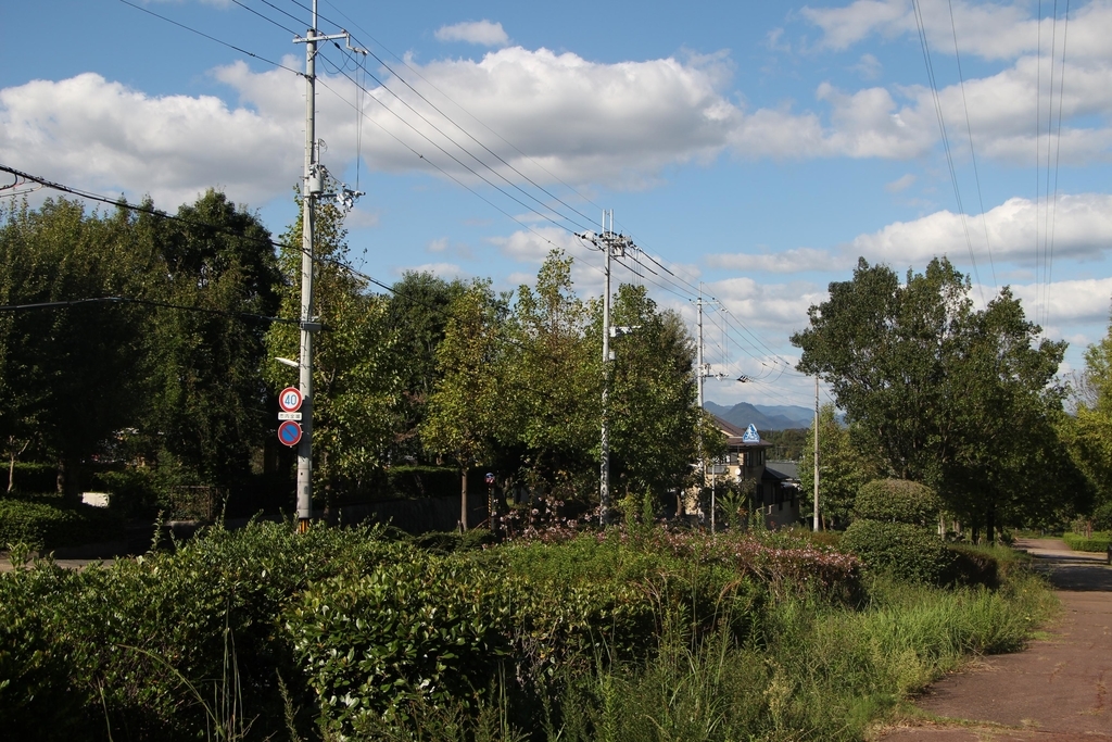 f:id:busstop_blog:20181011204236j:plain
