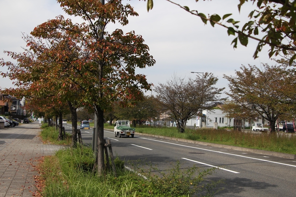 f:id:busstop_blog:20181101185851j:plain f:id:busstop_blog:20181101185851j:plain