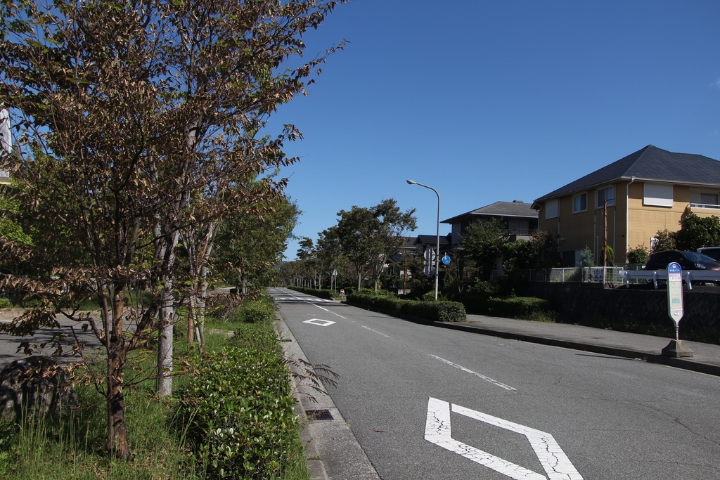 f:id:busstop_blog:20181103202502j:plain f:id:busstop_blog:20181103202502j:plain