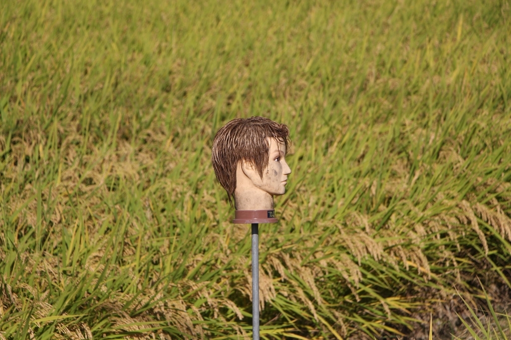 f:id:busstop_blog:20181105123448j:plain