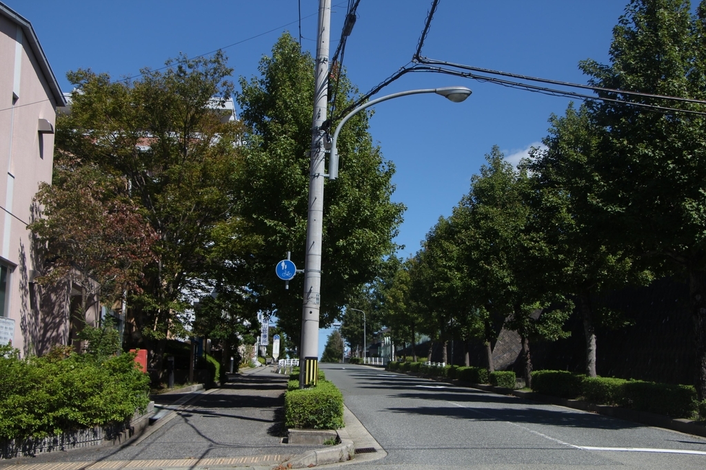 f:id:busstop_blog:20181113103358j:plain f:id:busstop_blog:20181113103358j:plain