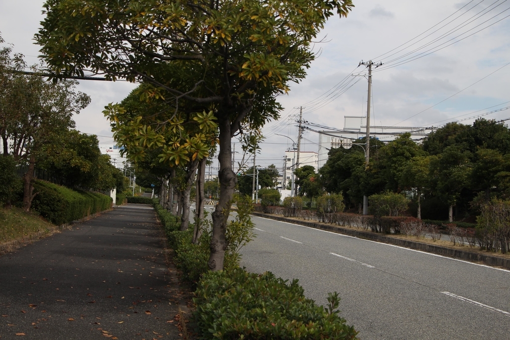 f:id:busstop_blog:20181127141534j:plain