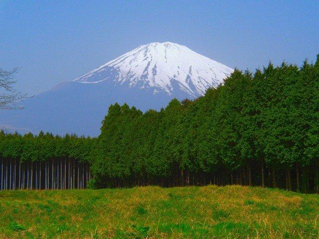 f:id:bustaxi:20111205173944j:image:w360 f:id:bustaxi:20111205173944j:image:w360