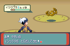 ｒｓ乱数 意地 ５ｖ ｂ２９ No Pain No Gain