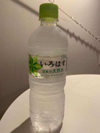 f:id:buta_pharm_blog:20200330234016j:plain