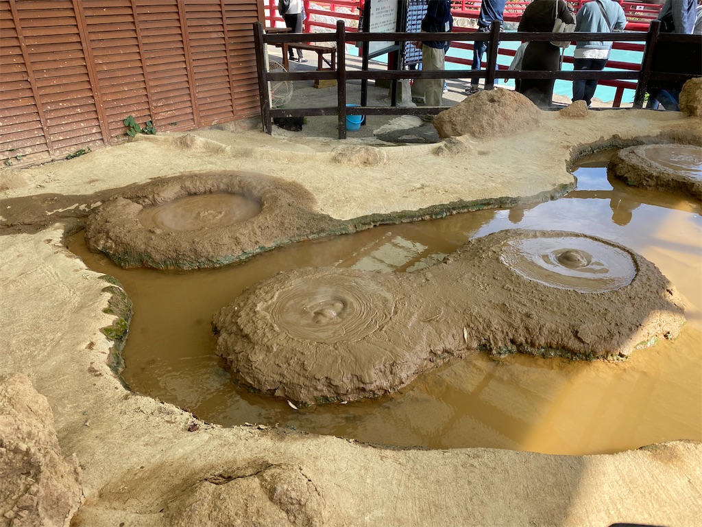 f:id:butabutakotan:20211029101619j:image f:id:butabutakotan:20211029101619j:image