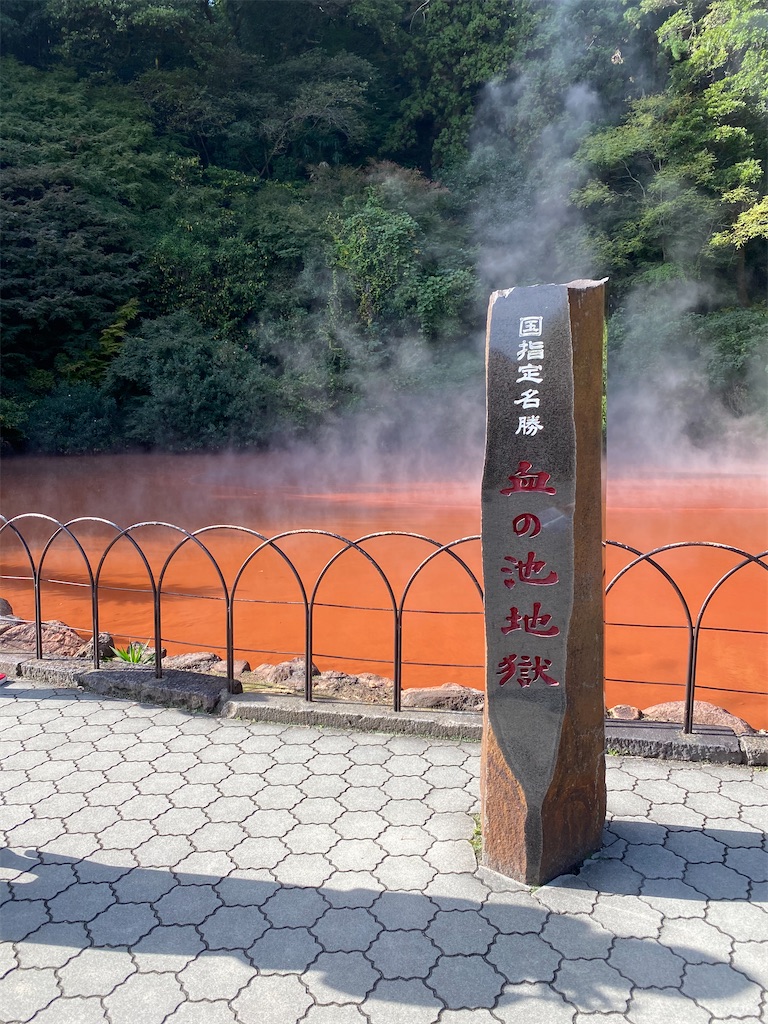 f:id:butabutakotan:20211029101634j:image f:id:butabutakotan:20211029101634j:image