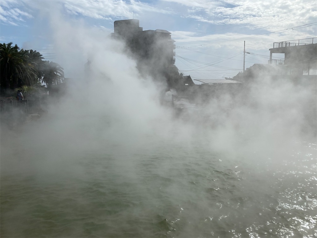 f:id:butabutakotan:20211029101645j:image f:id:butabutakotan:20211029101645j:image