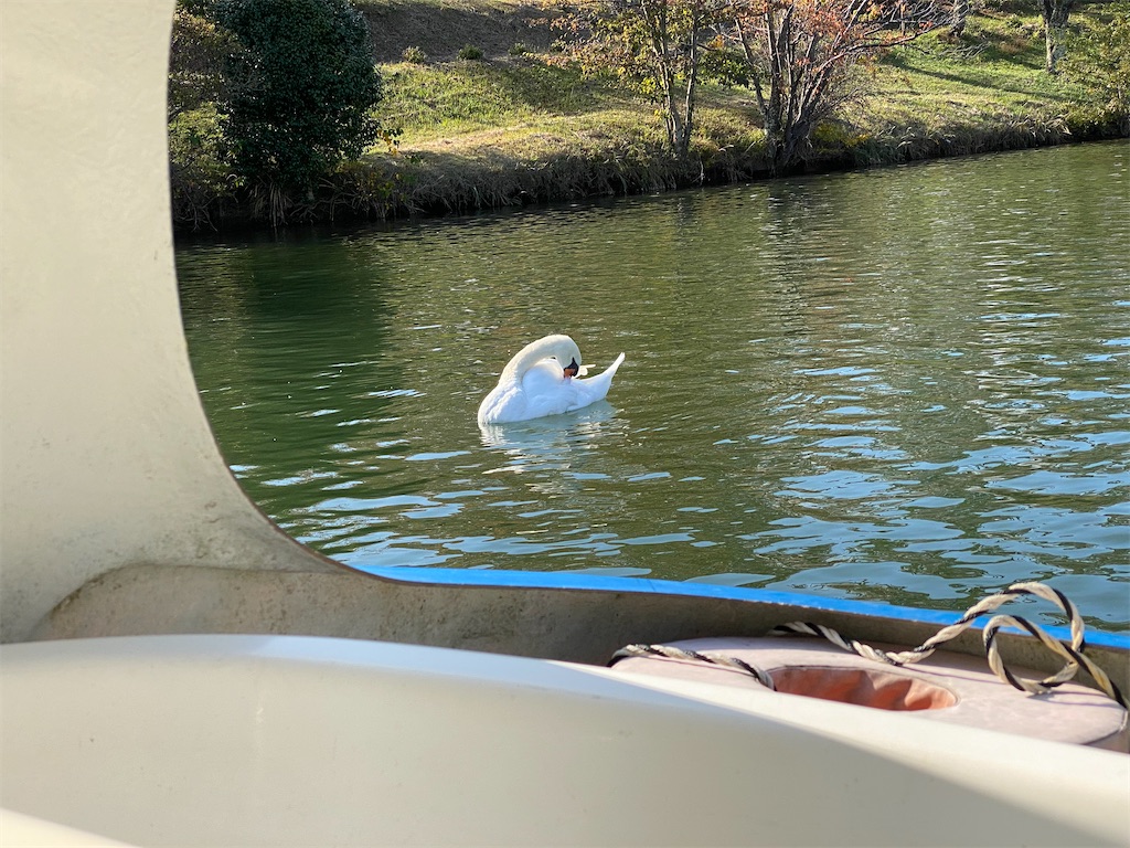 f:id:butabutakotan:20211029101745j:image f:id:butabutakotan:20211029101745j:image