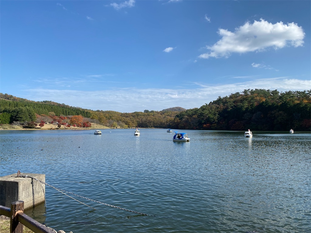 f:id:butabutakotan:20211029101747j:image f:id:butabutakotan:20211029101747j:image