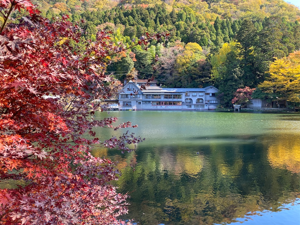 f:id:butabutakotan:20211116164229j:image f:id:butabutakotan:20211116164229j:image