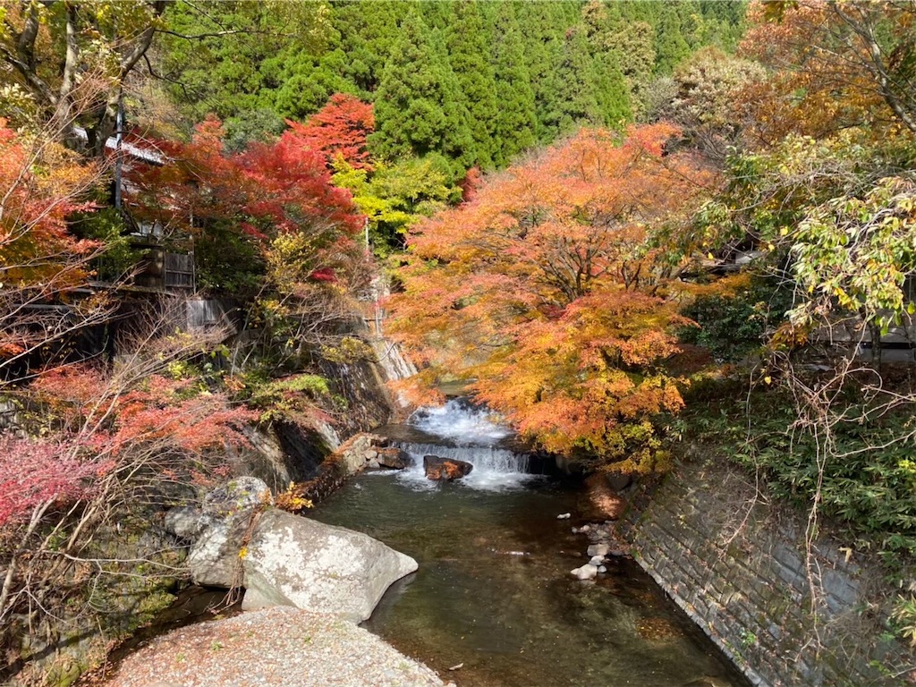 f:id:butabutakotan:20211124164701j:image f:id:butabutakotan:20211124164701j:image