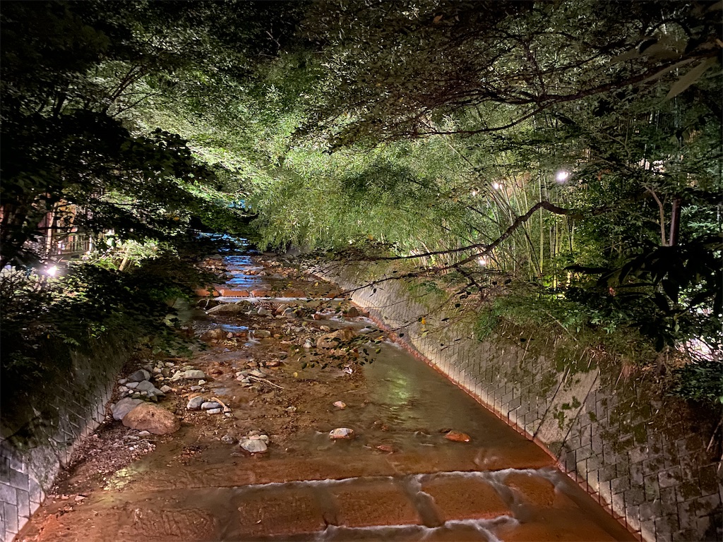 f:id:butamarux:20210401175530j:image f:id:butamarux:20210401175530j:image