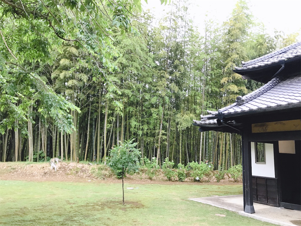 f:id:butamarux:20210402134202j:image f:id:butamarux:20210402134202j:image