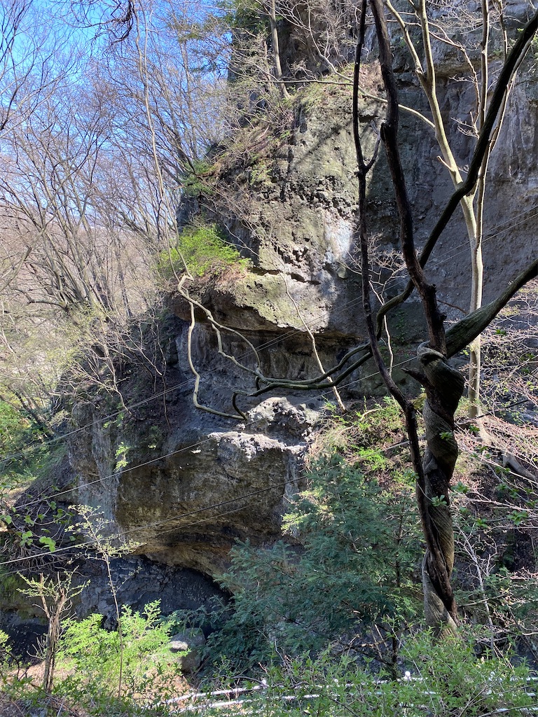f:id:butamarux:20210412091826j:image f:id:butamarux:20210412091826j:image