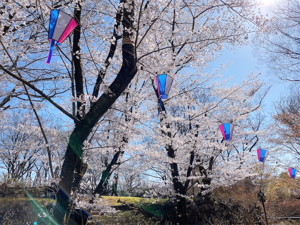 f:id:butamarux:20210412121906j:image f:id:butamarux:20210412121906j:image