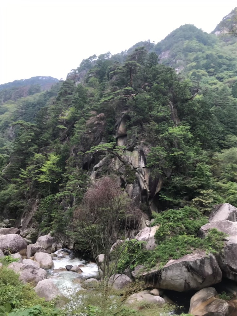 f:id:butamarux:20210416144542j:image f:id:butamarux:20210416144542j:image