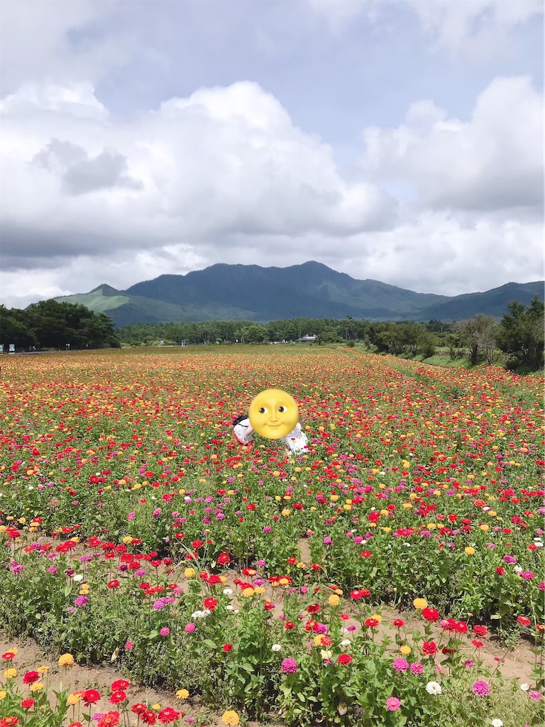 f:id:butamarux:20210416145006j:image f:id:butamarux:20210416145006j:image
