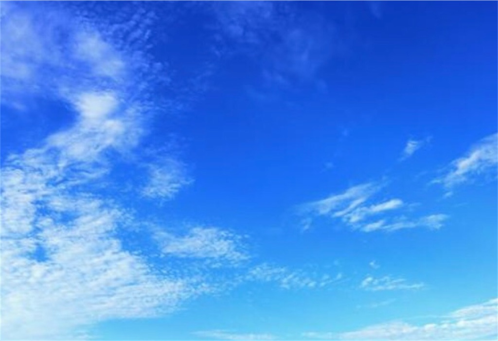 f:id:butamimitabu:20220927070859j:image