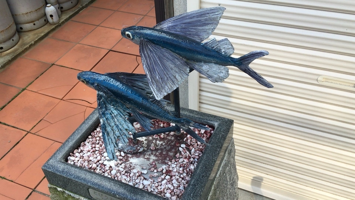 おさかなロード