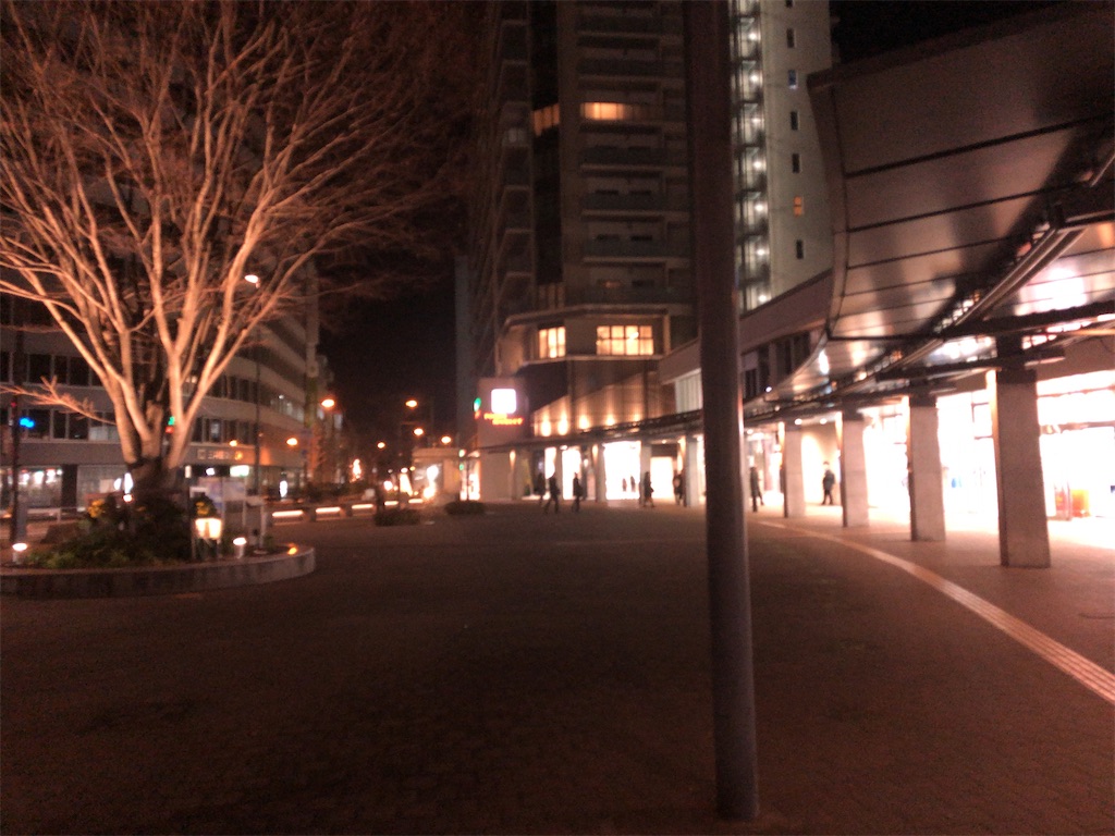 f:id:butao:20200107061504j:image