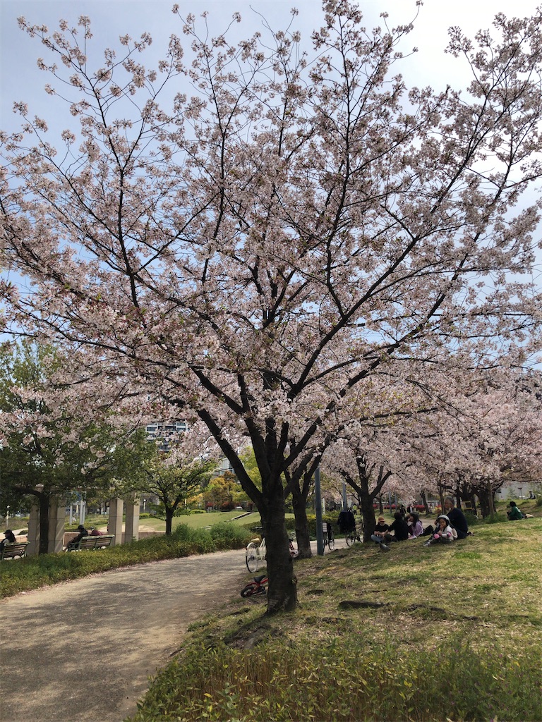 f:id:butao:20200428143426j:image