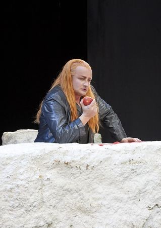 f:id:butcher59:20170510221447j:plain