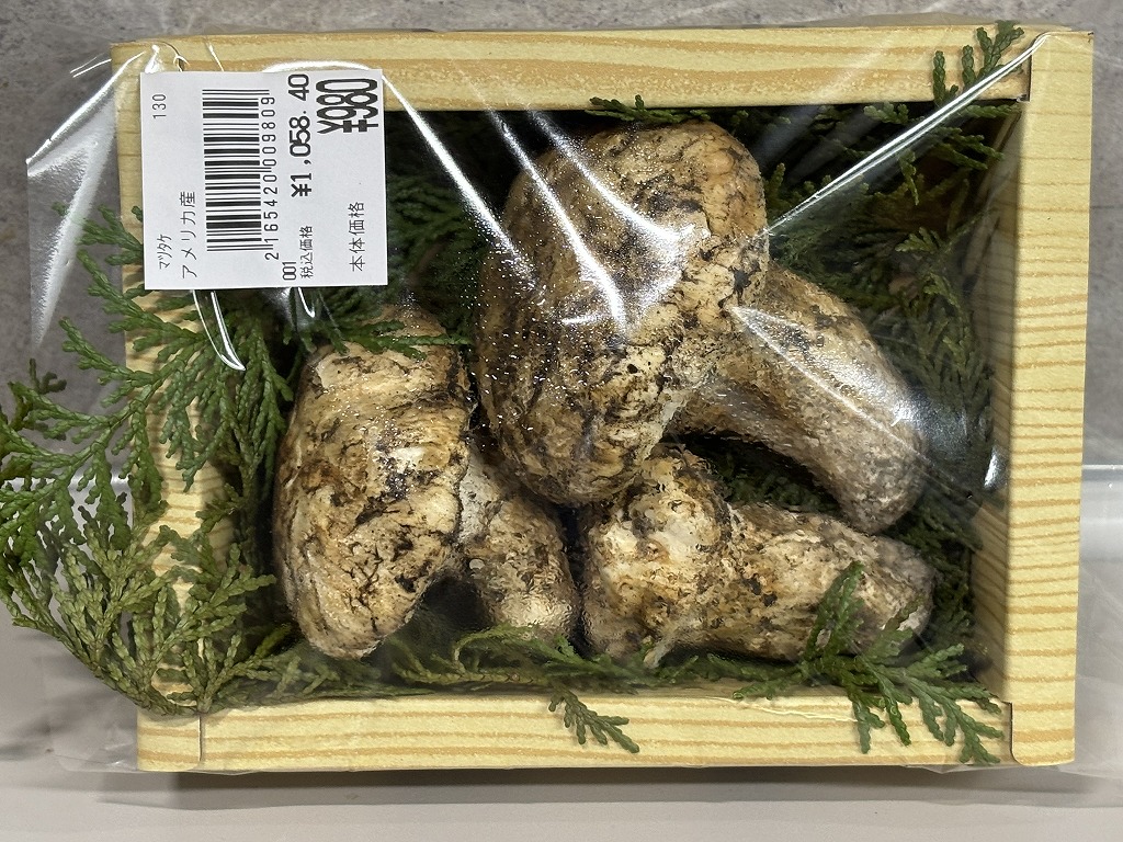 新鮮マツタケ 世界最大級の松茸産地直送！元プロが届ける「生松茸〈極〉」第二弾