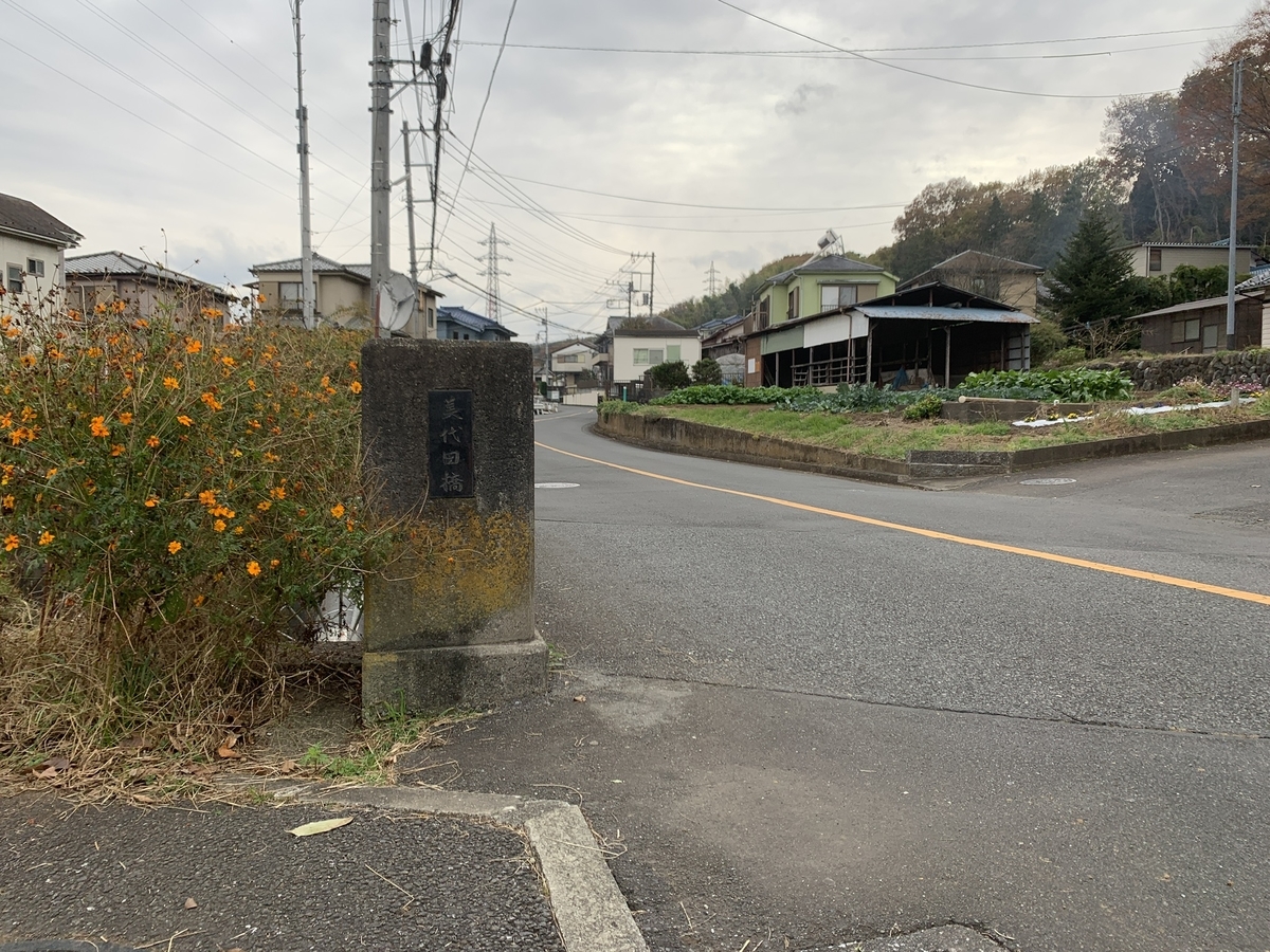 f:id:butsuzodiary:20210119220057j:plain
