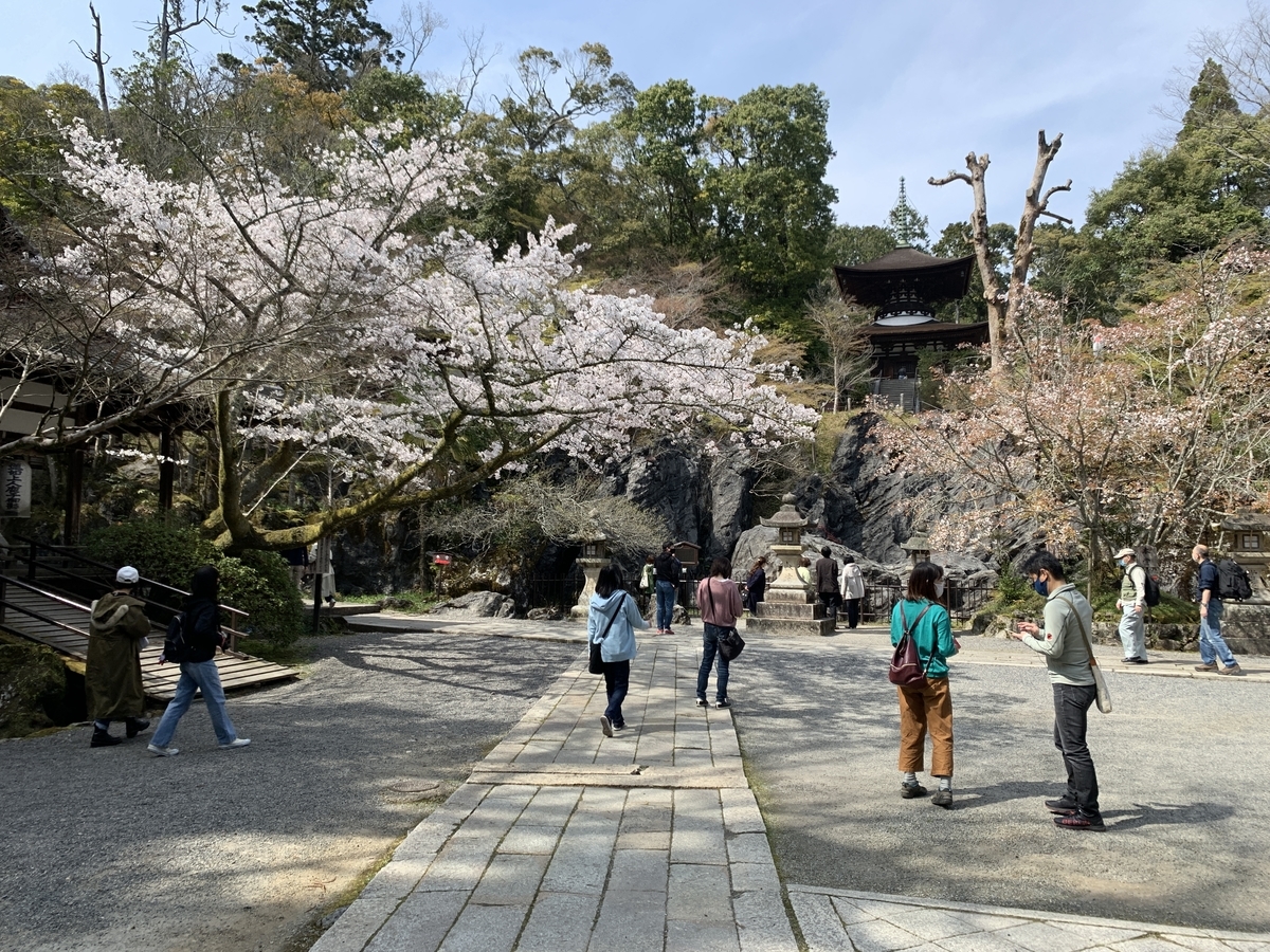 滋賀】石山寺で十一面観音立像の特別公開 ～石山寺の諸像をゆっくり