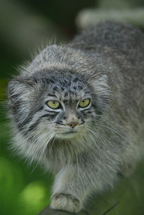 f:id:butter_cat:20200324145505j:plain