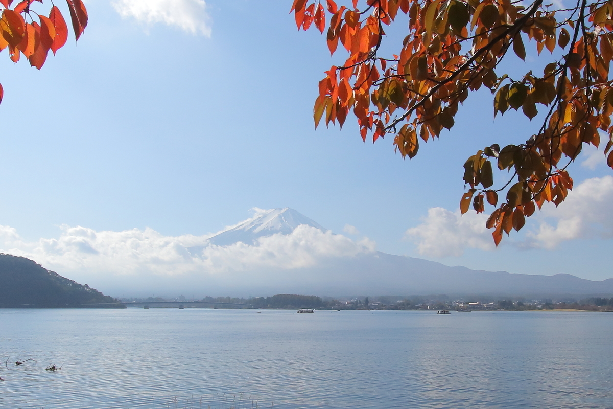 f:id:butterflyer:20191104203038j:plain