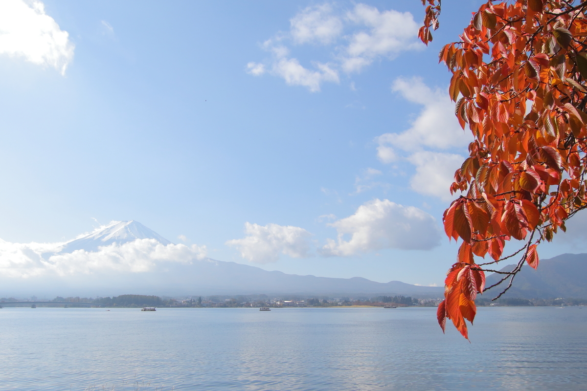 f:id:butterflyer:20191104203301j:plain