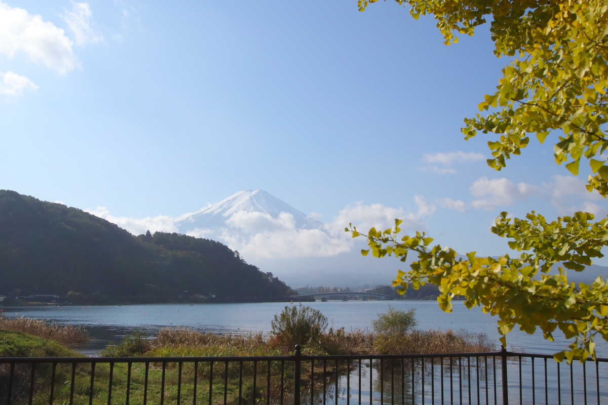 f:id:butterflyer:20191104203709j:plain