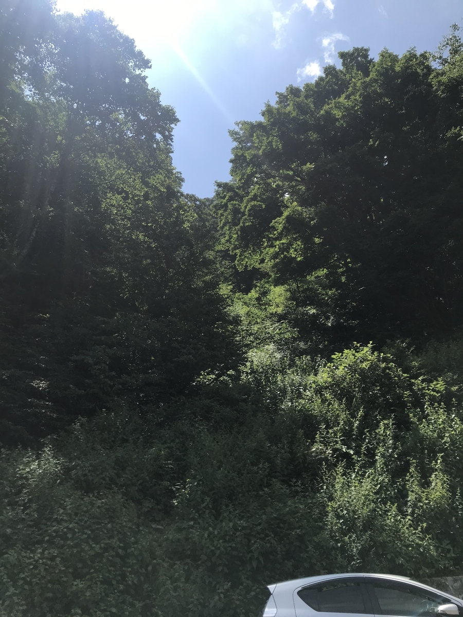 f:id:butterflyer:20200805213206j:plain f:id:butterflyer:20200805213206j:plain