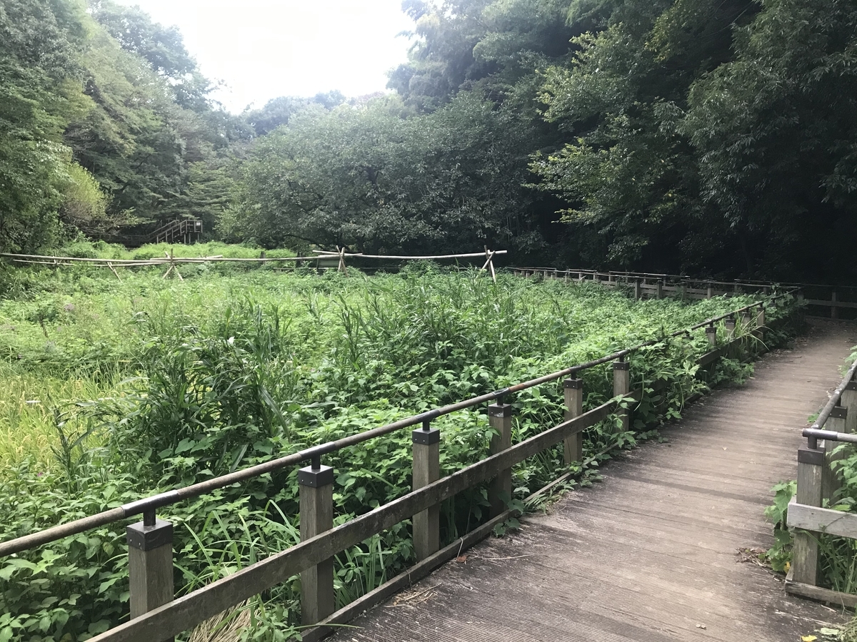 f:id:butterflyer:20200910211231j:plain f:id:butterflyer:20200910211231j:plain