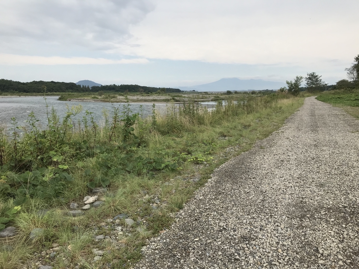 f:id:butterflyer:20200922233659j:plain